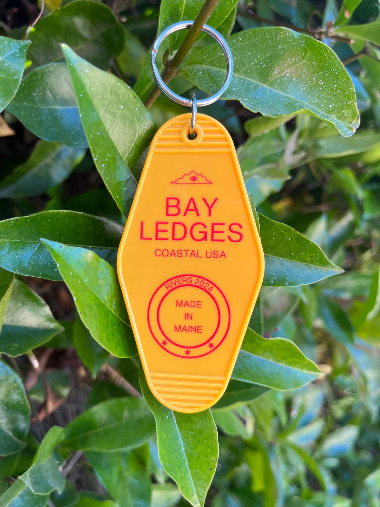 Dancer Tee + Keychain